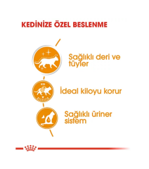 Royal Canin Intense Beauty Gravy (soslu) Yaş Kedi Maması 85 gr X 12 Adet