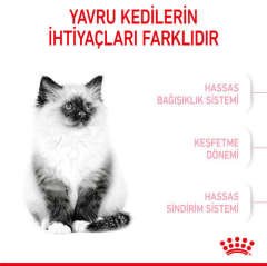 Royal Canin Kitten Yavru Kedi Maması 400 GR