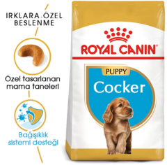 Royal Canin Cocker Junior Yavru Köpek Maması 3 kg