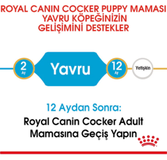 Royal Canin Cocker Junior Yavru Köpek Maması 3 kg