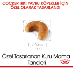 Royal Canin Cocker Junior Yavru Köpek Maması 3 kg