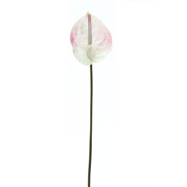 Yapay Çiçek Antoryum 60cm Beyaz
