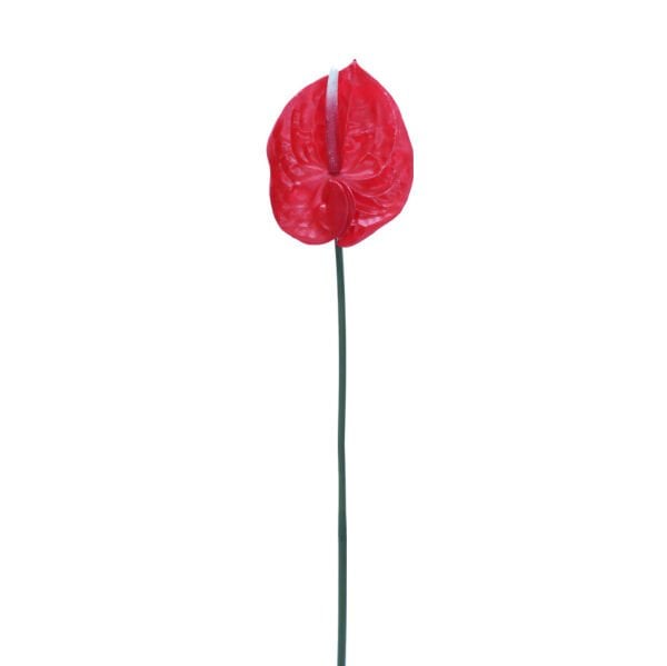 Yapay Çiçek Antoryum 60cm Kırmızı