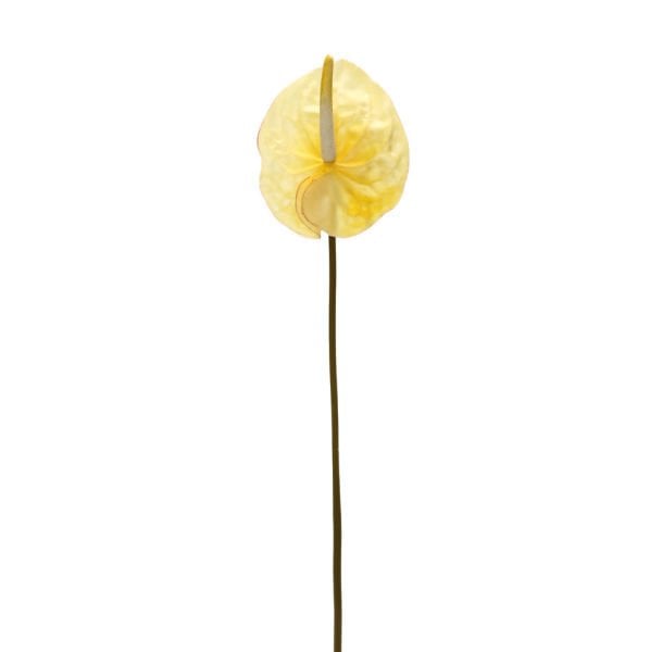 Yapay Çiçek Antoryum 60cm Sarı
