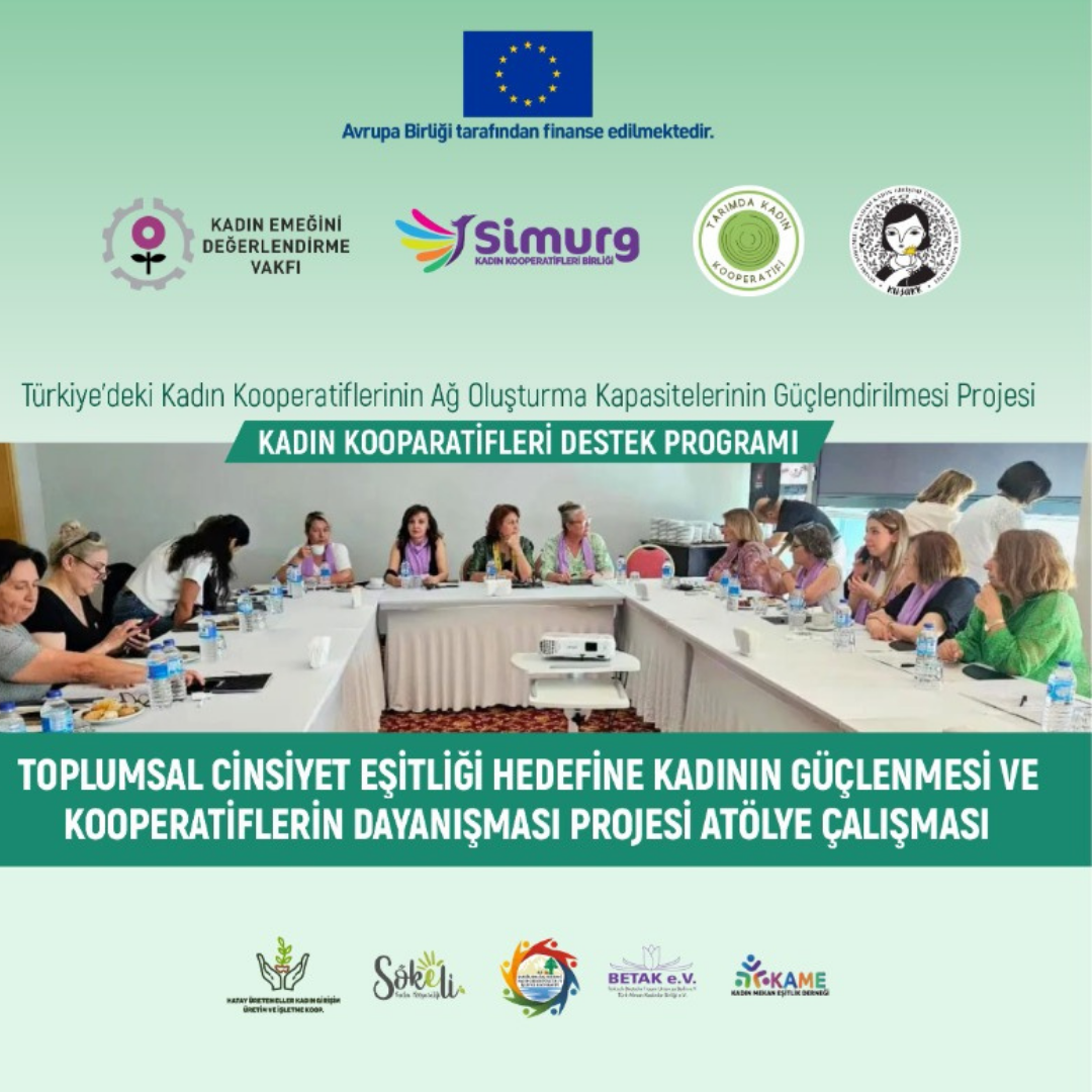 Türkiye'deki Kadın Kooperatiflerinin Ağ Geliştirme Kapasitelerinin Güçlendirilmesi Projesi