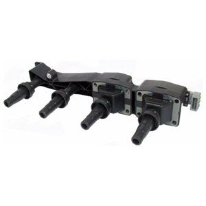 Citroen C2 1.6 2003-2009 Delphi Ateşleme Bobini