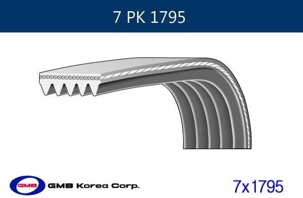 ALTERNATÖR KAYIŞI 7PK1795