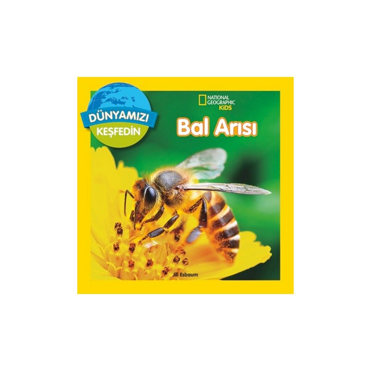 Kelebekler National Geographic Kids