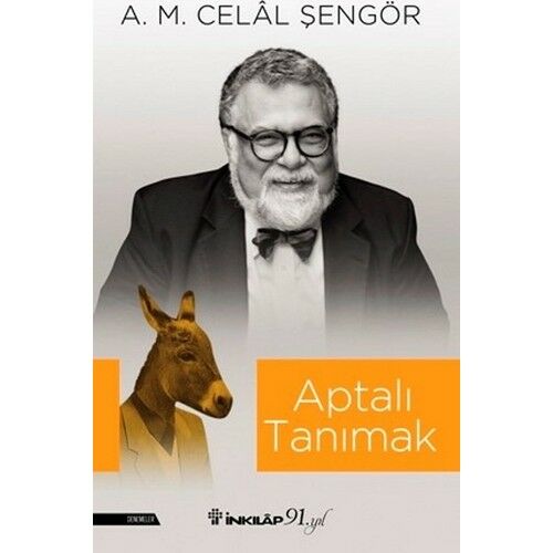 Aptalı Tanımak