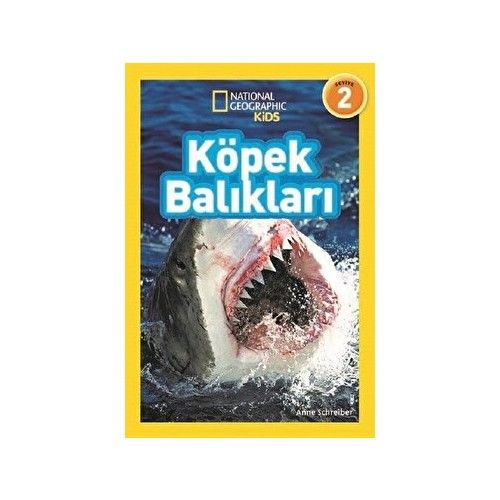 Köpek Balıkları