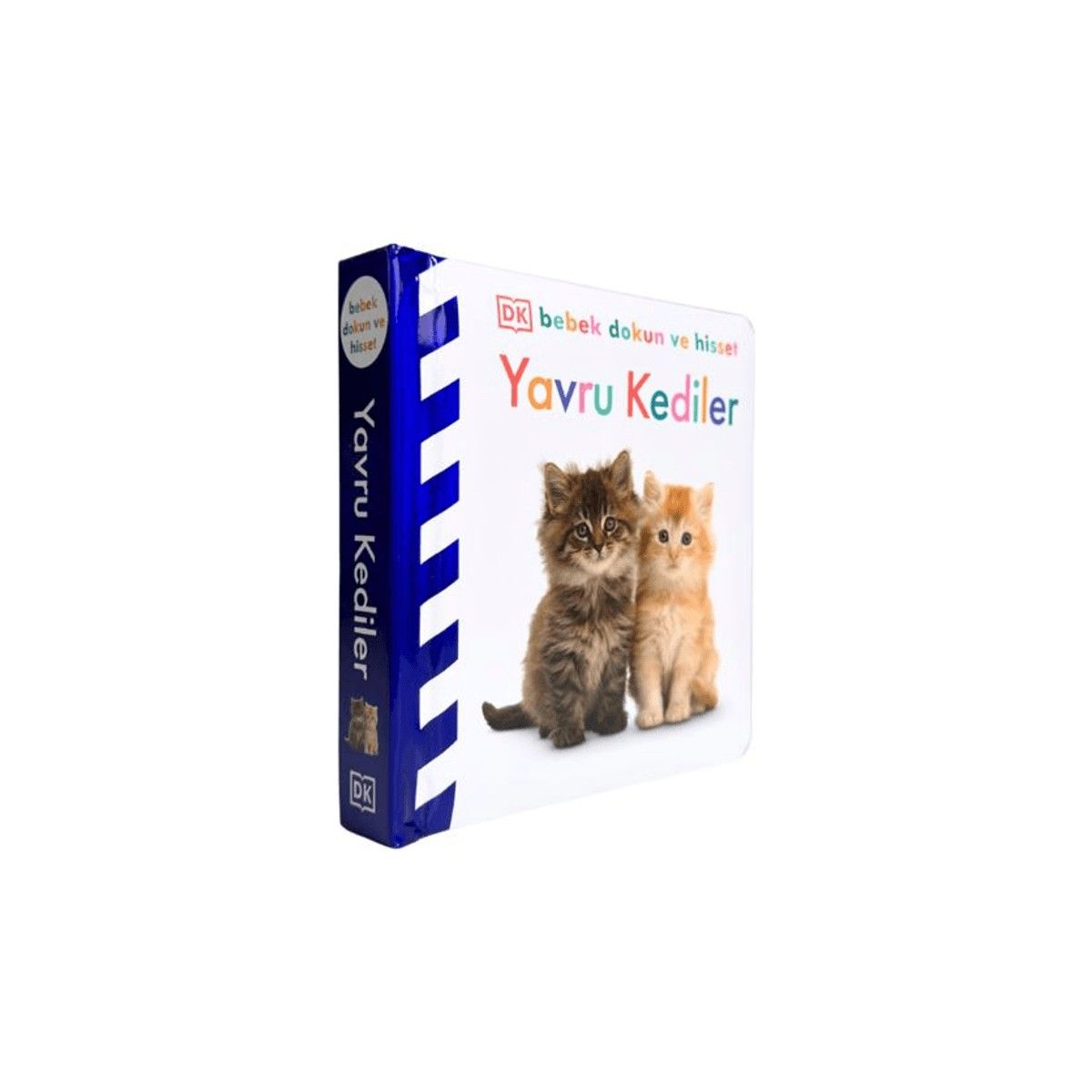 Bebek Dokun Ve Hisset Yavru Kediler