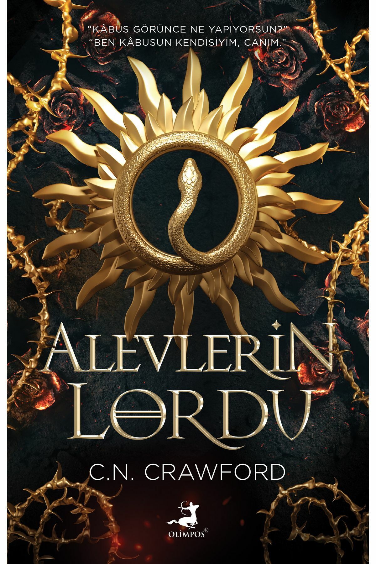 Alevlerin Lordu - Olimpos
indirim