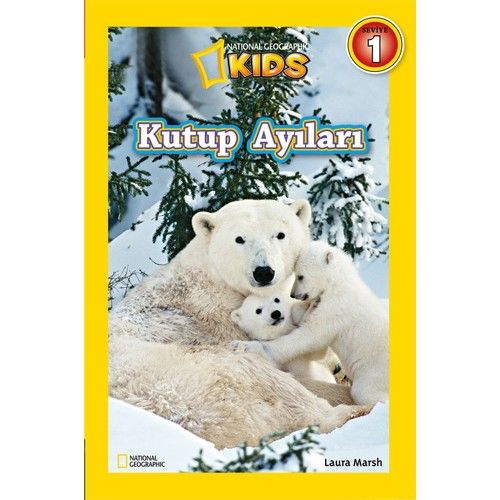 Kutup Ayıları