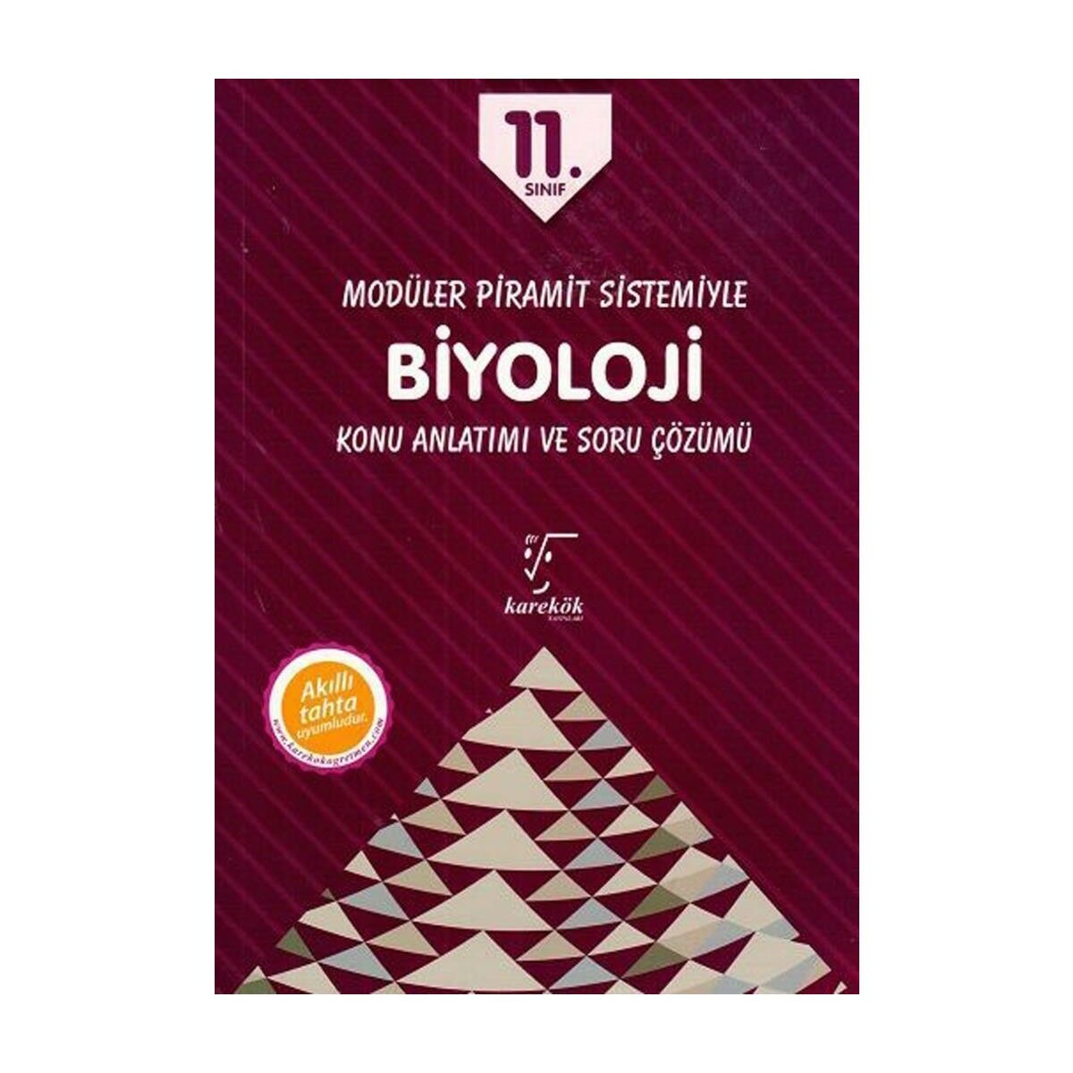 11. Sınıf Biyoloji Konu Anlatımlı
