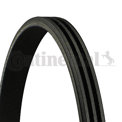 Fiat Brava 1995-2003 Arası 1.6 16V Continental Marka Vantilatör Kayışı