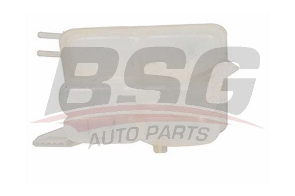 Ford Focus 2004-2013 Arası 1.6 TDCi, 2.5 ST BSG Marka Radyatör Yedek Su Deposu