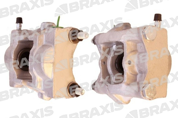 Citroen Xm 1989-2000 Arası 2.0 i Turbo Braxis Marka Sağ-Sol Uyumlu Arka Fren Kaliperi