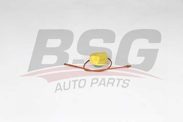 Renault Scenic 1999-2010 Arası 1.9 dTi BSG Marka Yağ Dolum Kapağı