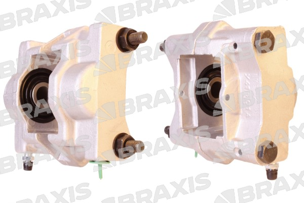 Citroen C5 2001-2005 Arası 3.0 V6 Braxis Marka Sağ-Sol Uyumlu Arka Fren Kaliperi