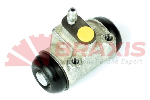Fiat Ducato 1982-2005 Arası 2.0 Panorama/Combinato Braxis Marka Fren Silindiri