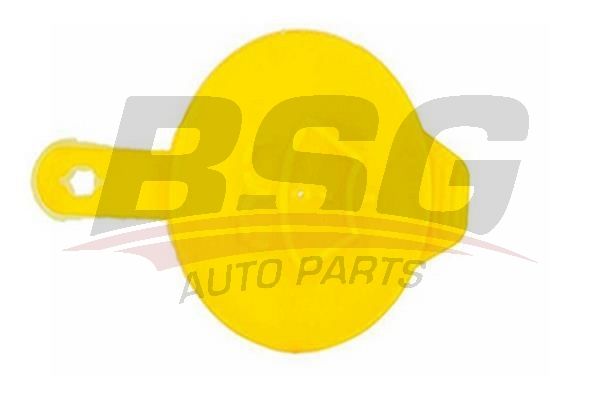 Opel Astra 1991-1998 Arası 1.4 i BSG Marka Silecek Su Depo Kapağı