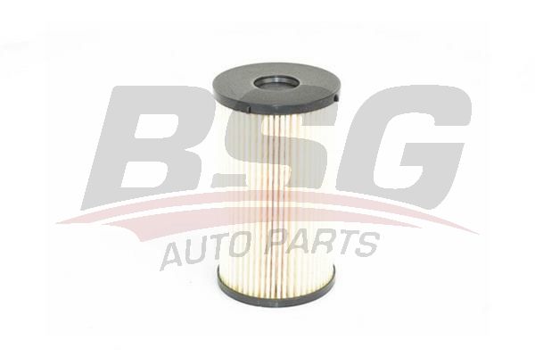 Seat Leon 2005-2013 Arası 1.6 TDI BSG Marka Mazot Yakıt Filtresi