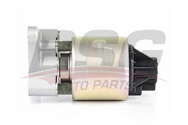 Opel Vectra 1988-1995 Arası 1.6 i BSG Marka EGR Valfi