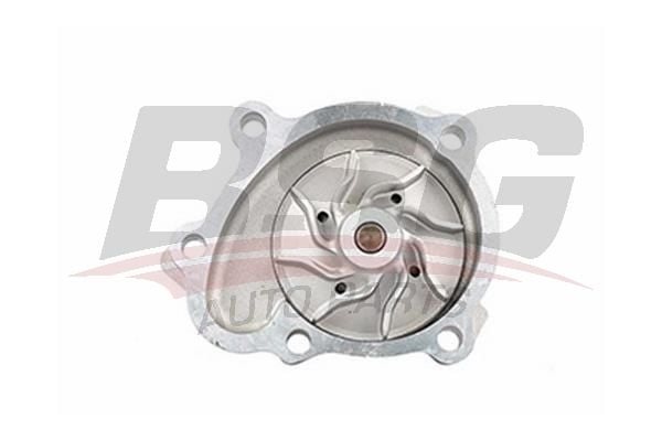 Opel Astra 1998-2015 Arası 1.7 DTI 16V, 1.7 CDTI BSG Marka Devirdaim Su Pompası