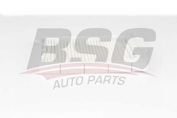 Renault Megane 2001-2012 Arası 1.9 dCi BSG Marka Polen Filtresi
