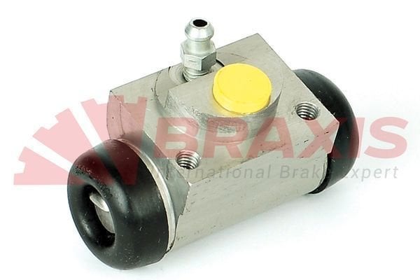 Fiat Punto Evo 2008-2012 Arası 1.3 D Multijet Braxis Marka Sağ-Sol Uyumlu Arka Fren Silindiri
