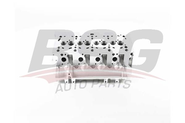 Renault Symbol 2008-2012 Arası 1.5 dCi BSG Marka Silindir Kapağı