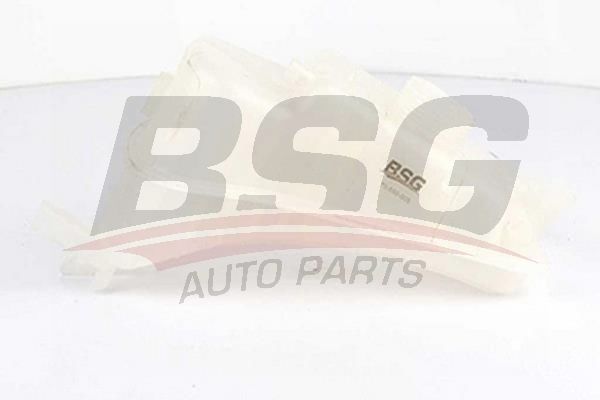 Citroen Berlingo 1996-2011 Arası 2.0 HDI 90, 1.9 D 70 4WD, 1.9 D 70, 1.9 D 4WD BSG Marka Radyatör Yedek Su Deposu