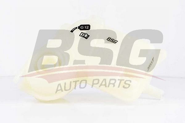 Audi A4 2000-2009 Arası 3.0, 2.4, 3.0 quattro, 1.9 TDI BSG Marka Radyatör Yedek Su Deposu