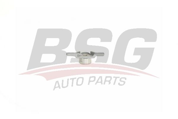 Ford Escort 1980-2002 Arası 1.6 XR3i, 1.6 i, 1.4, 1.6 Turbo RS BSG Marka Triger Gergi Rulmanı