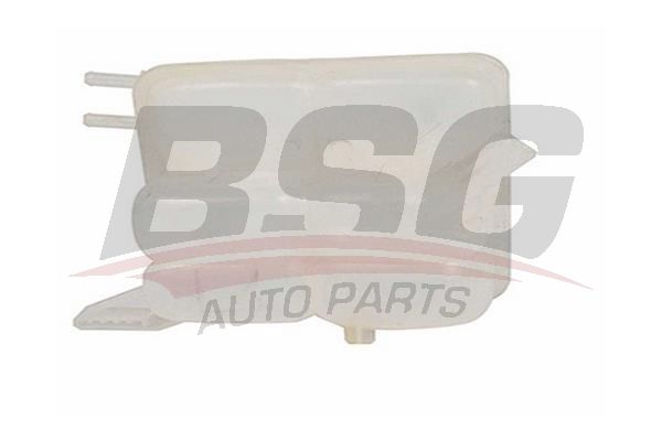 Ford C-Max 2003-2010 Arası 1.6 TDCi BSG Marka Radyatör Yedek Su Deposu