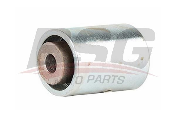 Seat Ibiza 1993-2002 Arası 1.9 SDI BSG Marka Triger Gergi Rulmanı