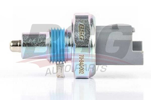Peugeot 605 1989-1999 Arası 2.1 Turbo Diesel, 3.0, 2.0 BSG Marka Geri Vites Müşürü