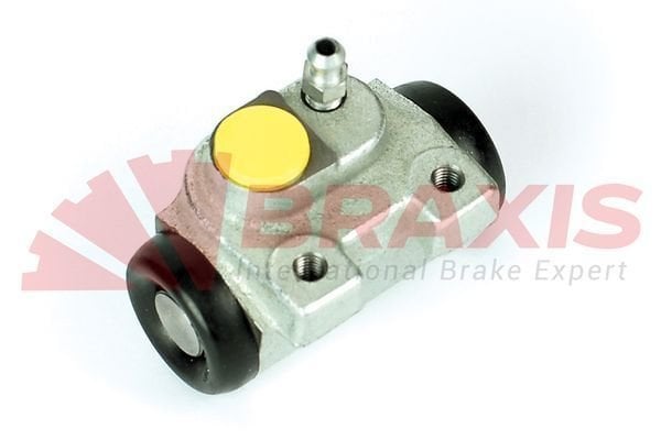 Citroen Zx 1991-1999 Arası 1.9 TD Braxis Marka Sol Abssiz Fren Silindiri