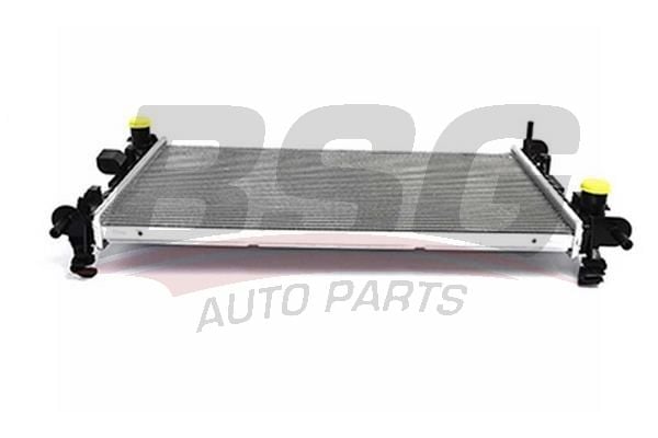 Ford Focus 1998-2009 Arası 1.6 16V, 1.4 16V, 1.8 16V BSG Marka Su Radyatörü