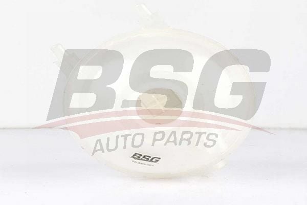 Citroen C3 2002-2006 Arası 1.4 HDi, 1.1 i, 1.6 16V BSG Marka Radyatör Yedek Su Deposu
