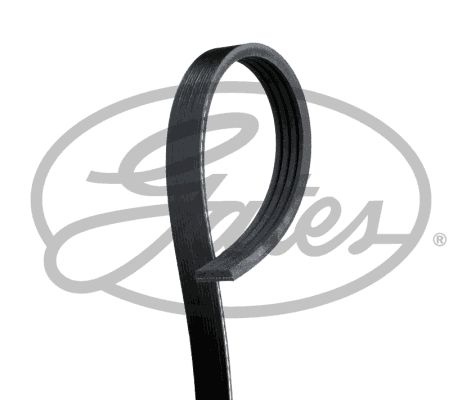 Ford Galaxy 2015-2019 Arası 2.0 EcoBoost Gates Marka Vantilatör Kayışı
