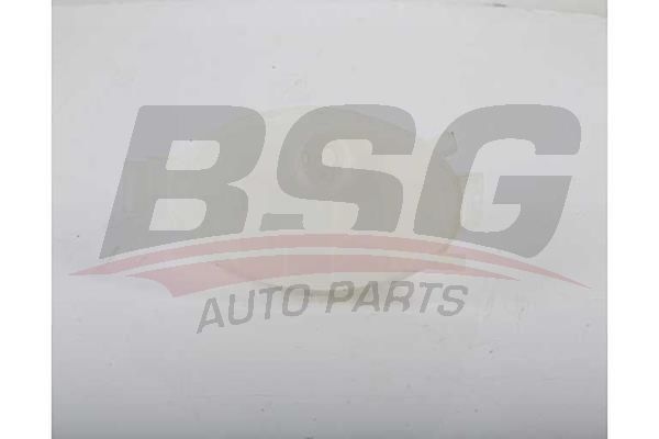 Renault Trafic 2001-2005 Arası 2.5 dCi 115, 2.0, 1.9 dCi 100, 1.9 dCi 80, 2.5 dCi 135, 1.9 dCI 100, 1.9 dCI 80 BSG Marka Radyatör Yedek Su Deposu