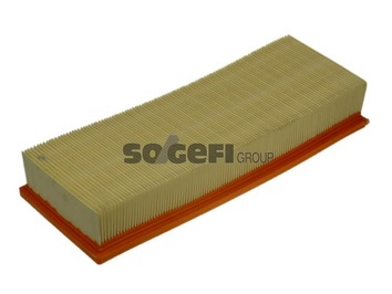 Seat Cordoba 1993-2002 Arası 1.9 SDI Purflux Marka Hava Filtresi