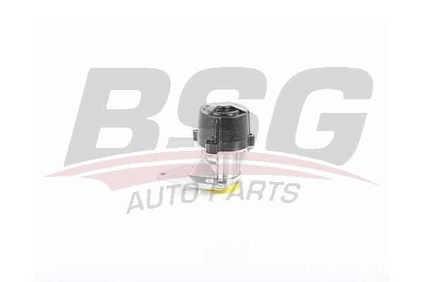 Peugeot Boxer 1994-2002 Arası 1.9 TD BSG Marka Vakum Pompası
