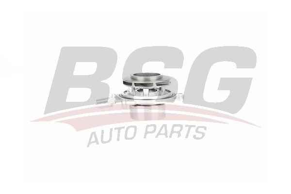 Seat Alhambra 2010-2014 Arası 2.0 TDI BSG Marka Devirdaim Su Pompası