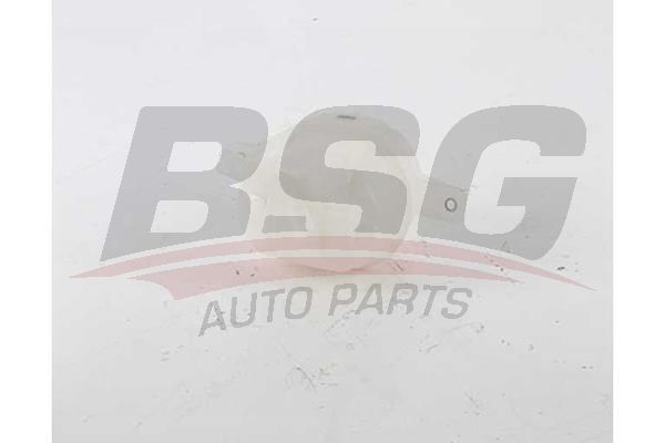 Peugeot 307 2000-2012 Arası 1.4, 1.4 16V, 1.6 16V, 2.0, 2.0 16V BSG Marka Radyatör Yedek Su Deposu