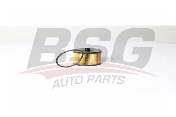 Peugeot 508 2010-2018 Arası 2.0 HDi BSG Marka Yakıt Filtresi