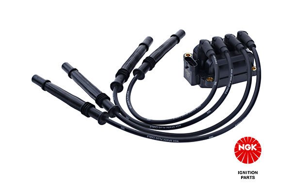 Dacia Sandero 2008-2012 Arası 1.2 16V LPG NGK Marka Ateşleme Bobini