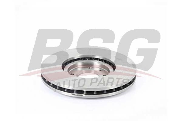 Citroen Ds3 2009-2016 Arası 1.6 Racing BSG Marka Ön Fren Diski