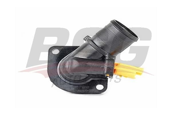Citroen C2 2003-2017 Arası 1.1, 1.4 BSG Marka Termostat